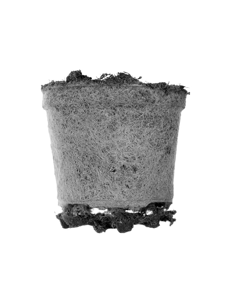 Photographie de Fernande Petitdemange : Pas de pots, 2004, tirage argentique noir et blanc, format 40 x 50 cm, série de 2 x 3 photographies.