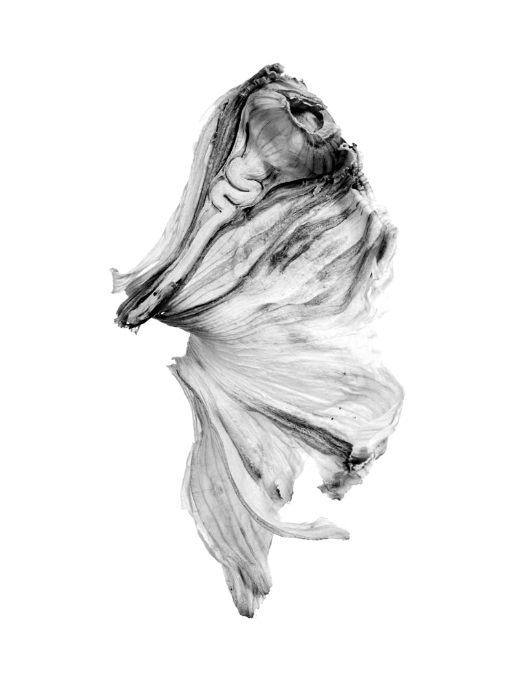 Photographie de Fernande Petitdemange : Inventaire suspendu, 2004, tirage argentique noir et blanc, format 40 x 50 cm, série de 5 diptyques.