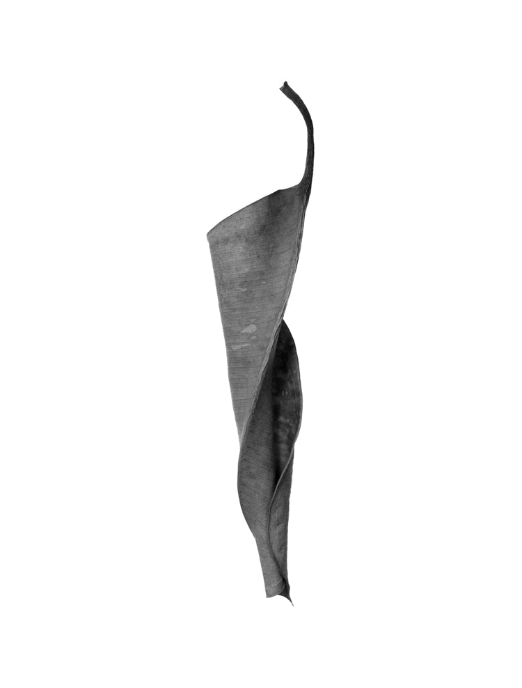 Photographie de Fernande Petitdemange : Carnaval, 1997, tirage argentique noir et blanc, format 40 x 50 cm, série de 12 photographies.