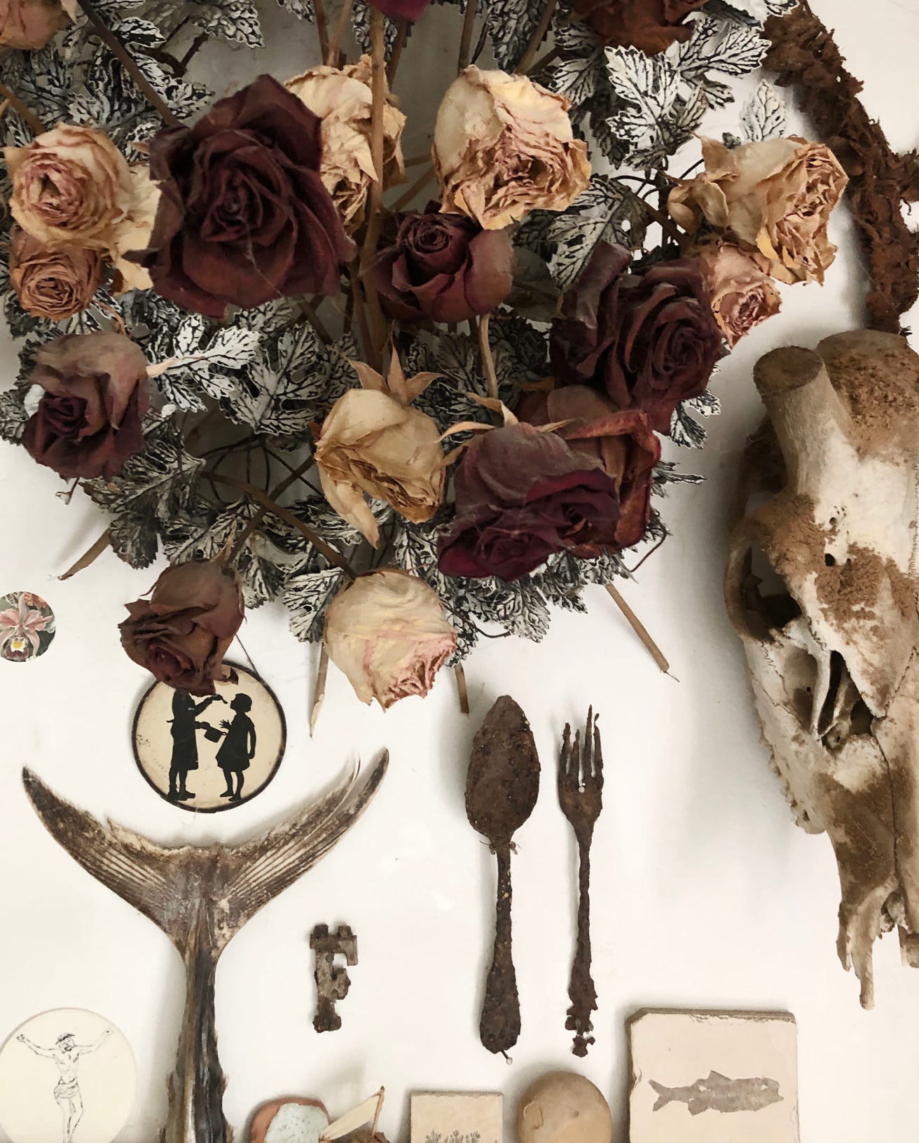 Photographie d'atelier : crâne de cerf, boutons de roses, couverts en métal 