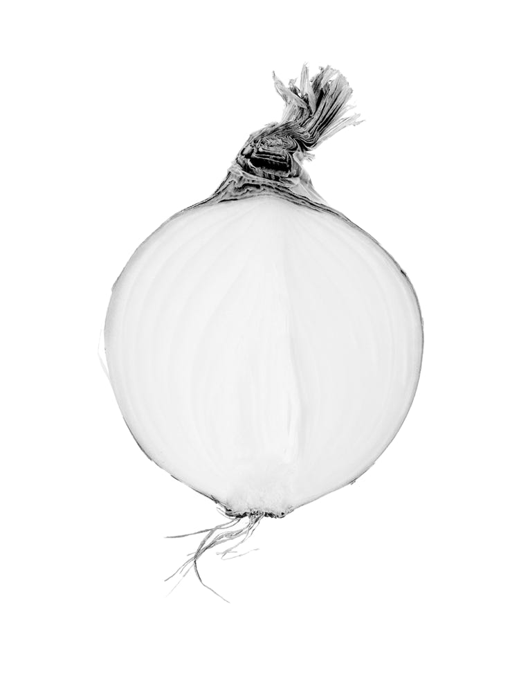 Photographie de Fernande Petitdemange : Inventaire suspendu, 2004, tirage argentique noir et blanc, format 40 x 50 cm, série de 5 diptyques.
