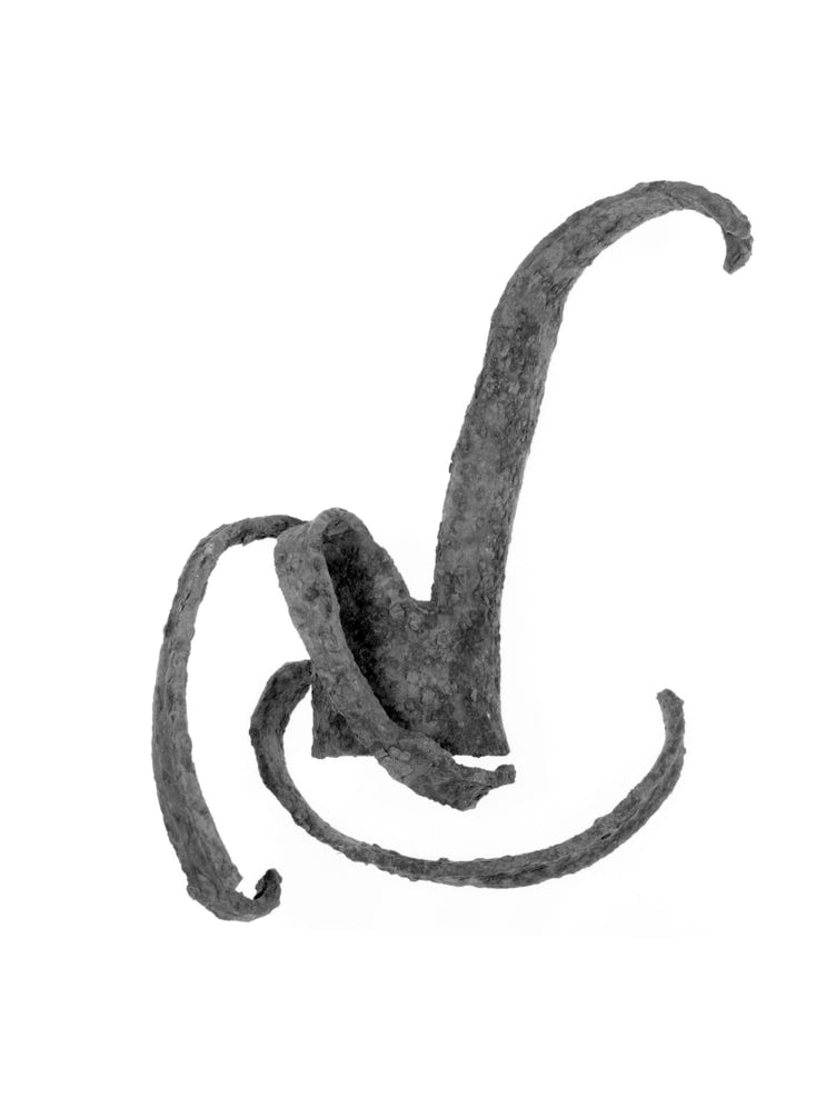 Photographie de Fernande Petitdemange : Pelures de Guerre, 2015, tirage argentique noir et blanc, format 18 x 24 cm, série de 38 photographies, Musée mémorial du Linge.