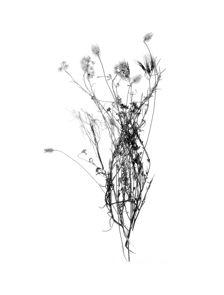 Photographie de Fernande Petitdemange : Jeux de dames, 2012, tirage argentique noir et blanc, format 18 x 24 cm, série de 8 triptyques.